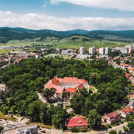 Palace Art Hotel Pezinok Exterior photo