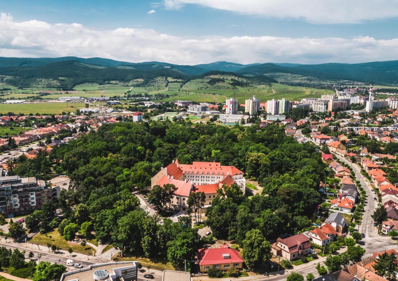 Palace Art Hotel Pezinok Exterior photo